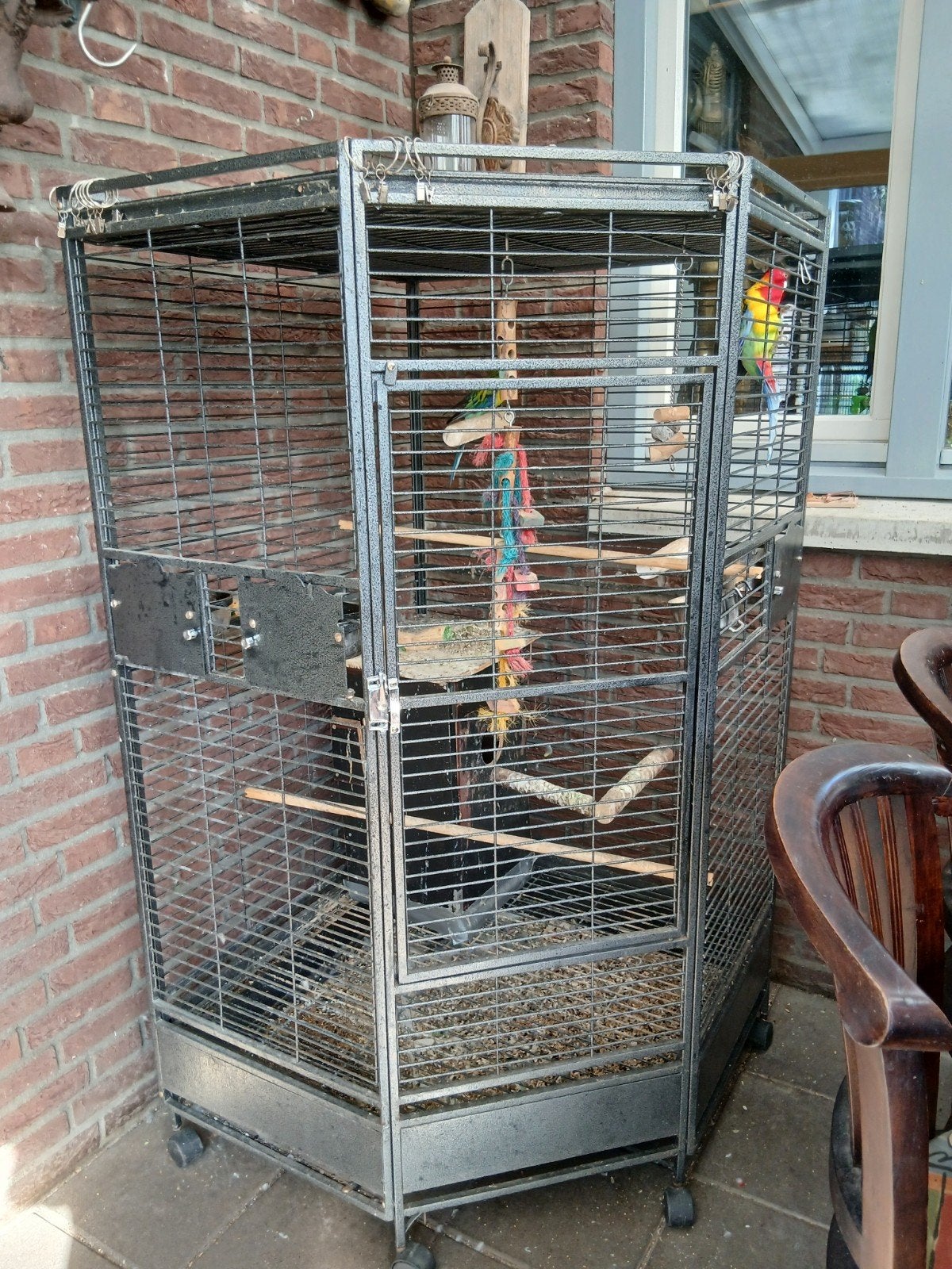 papagaaikooi 153x83x83, Dieren en Toebehoren, Ophalen, Metaal, Vogelkooi