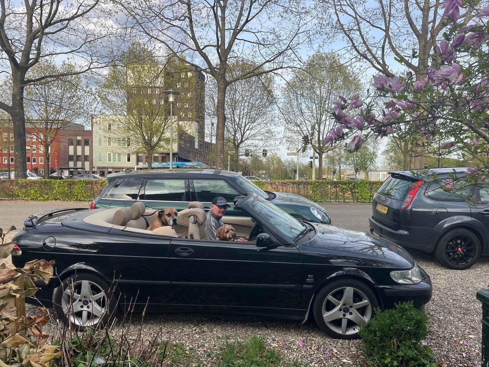 Gezocht auto monteur.  Dynamo saab.  Wiellager ford focus, Ophalen