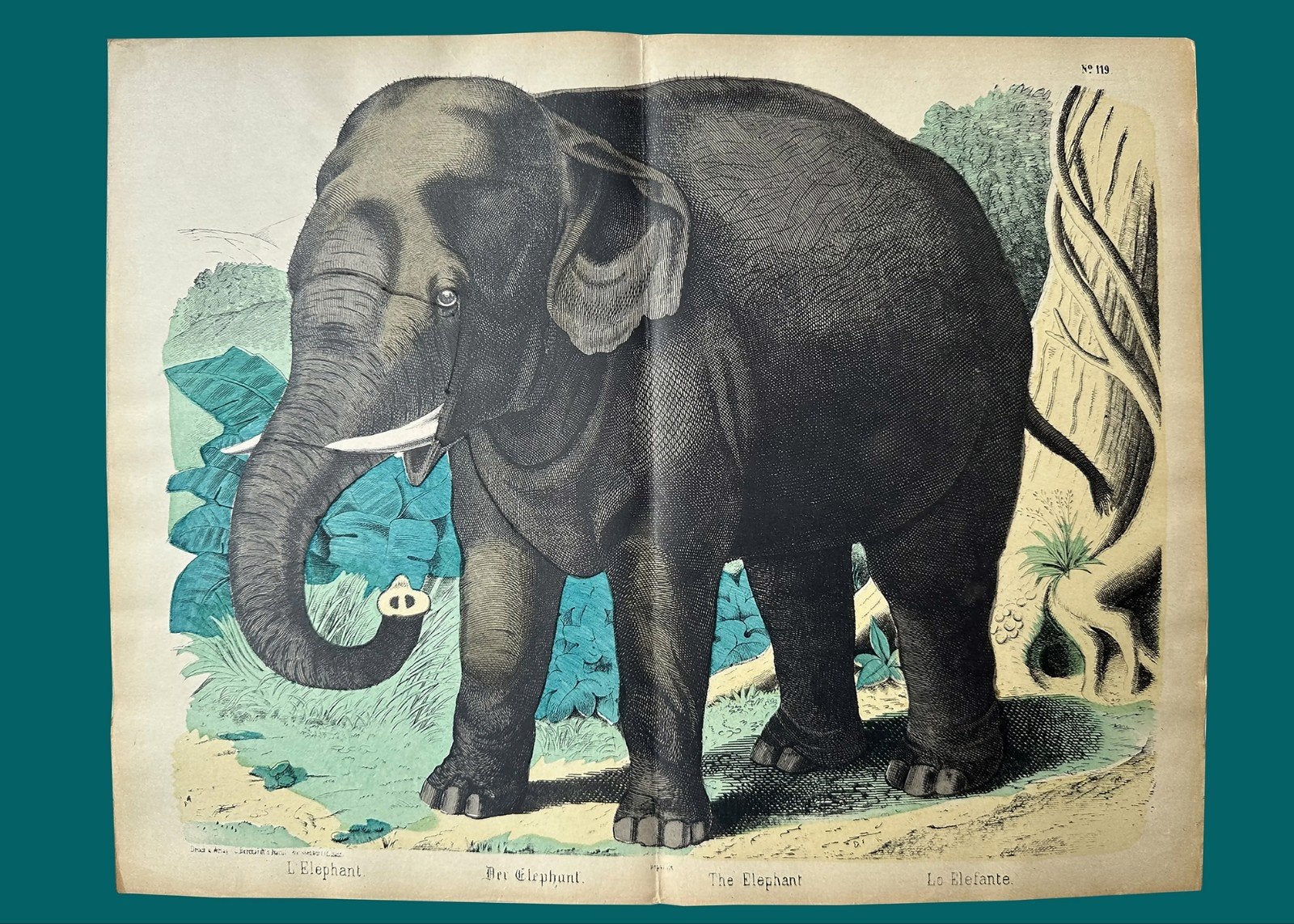 Antieke olifantenposter L'Elephant, Der Elephant, The Eleph, Ophalen of Verzenden
