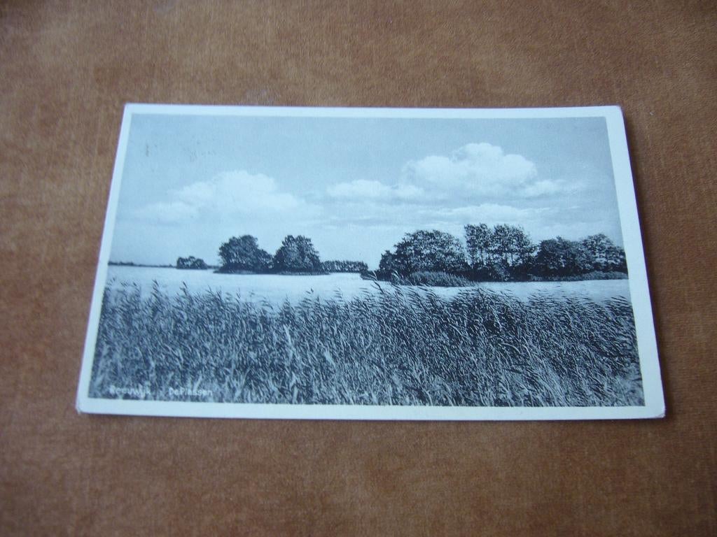 REEUWIJK  =   DE PLASSEN, Verzamelen, Ansichtkaarten | Nederland, Ophalen of Verzenden, 1920 tot 1940, Gelopen, Zuid-Holland