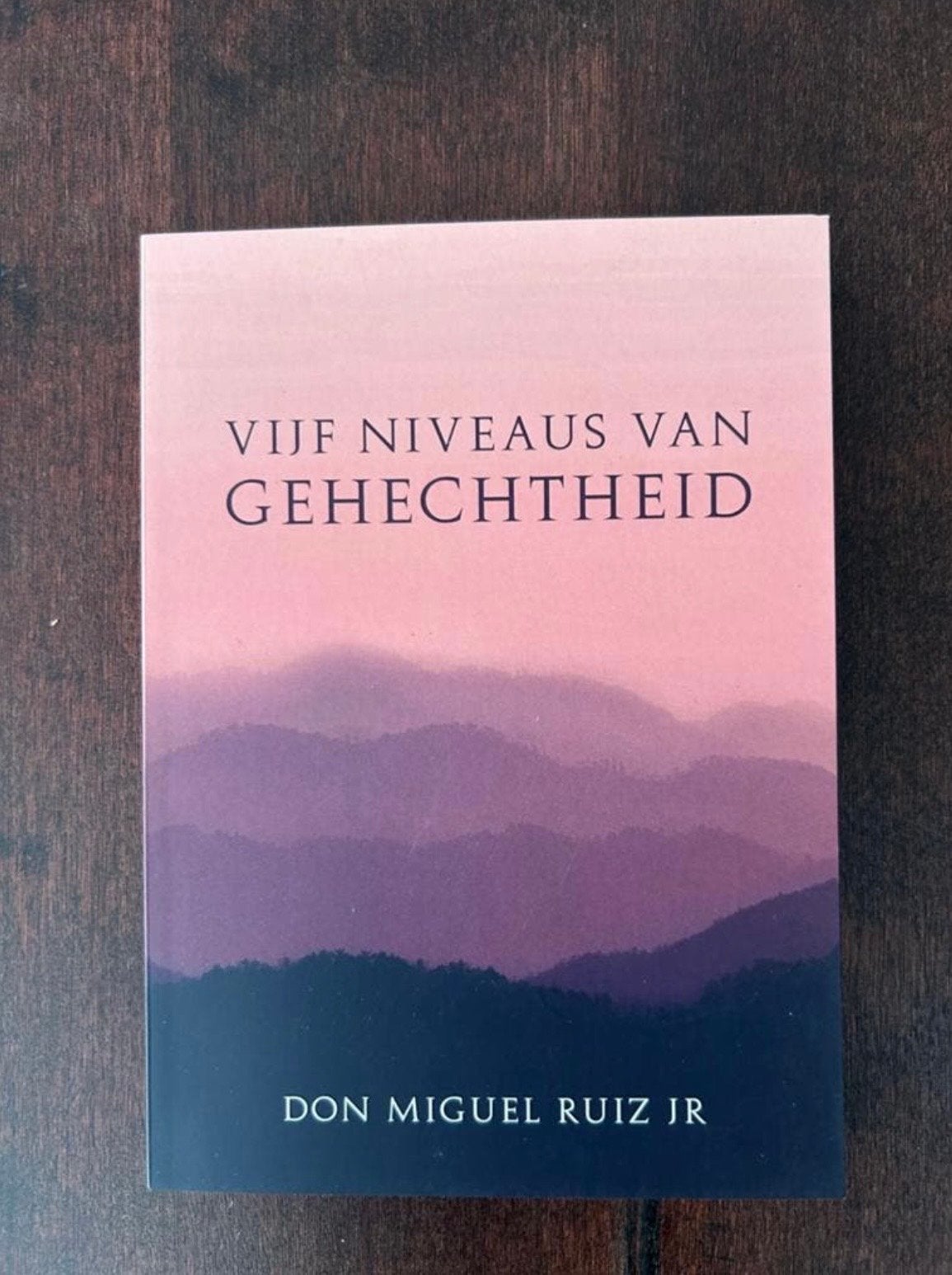 Vijf Niveaus van Gehechtheid - Don Miguel Ruiz Jr., Ophalen of Verzenden, Zo goed als nieuw