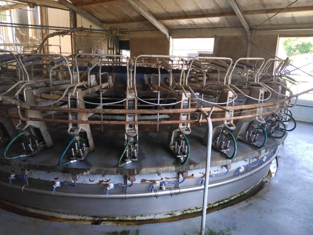 Melkstal carousel Delaval 34 stands buitenmelker, Dieren en Toebehoren, Ophalen, Gebruikt