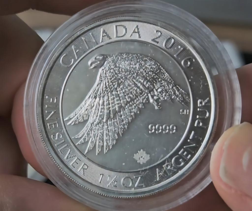 1,5 troy oz Falcon 2016 Canada, Verzenden, Zilver