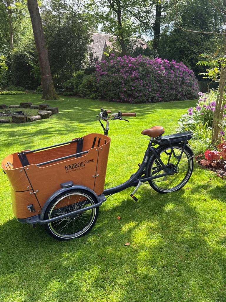 Gloednieuwe Babboe Curve bakfiets - Elektrisch, Elektrisch, Zo goed als nieuw, 2 kinderen, Schijfrem