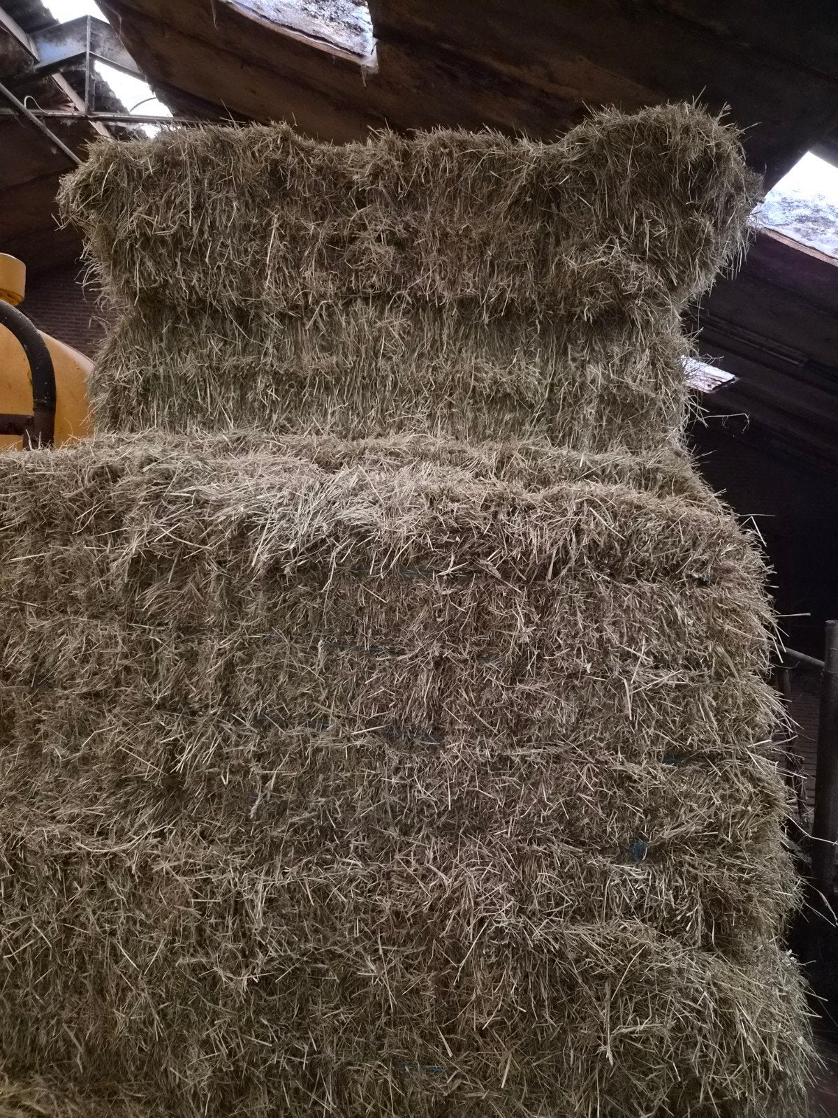 Hooi droog paarden schapen geiten, Dieren en Toebehoren, Dierenvoeding, Ophalen, Vee