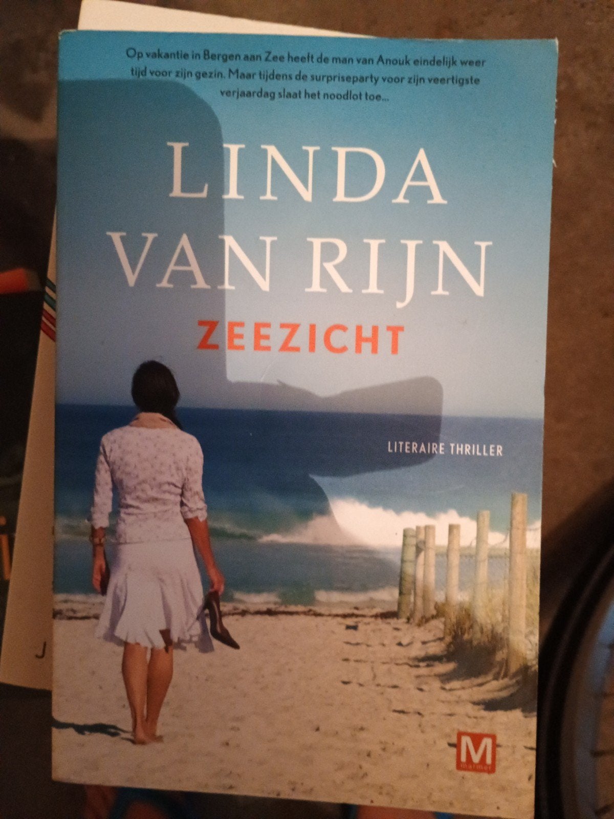 Linda van Rijn - Zeezicht, Ophalen of Verzenden, Zo goed als nieuw, Linda van Rijn