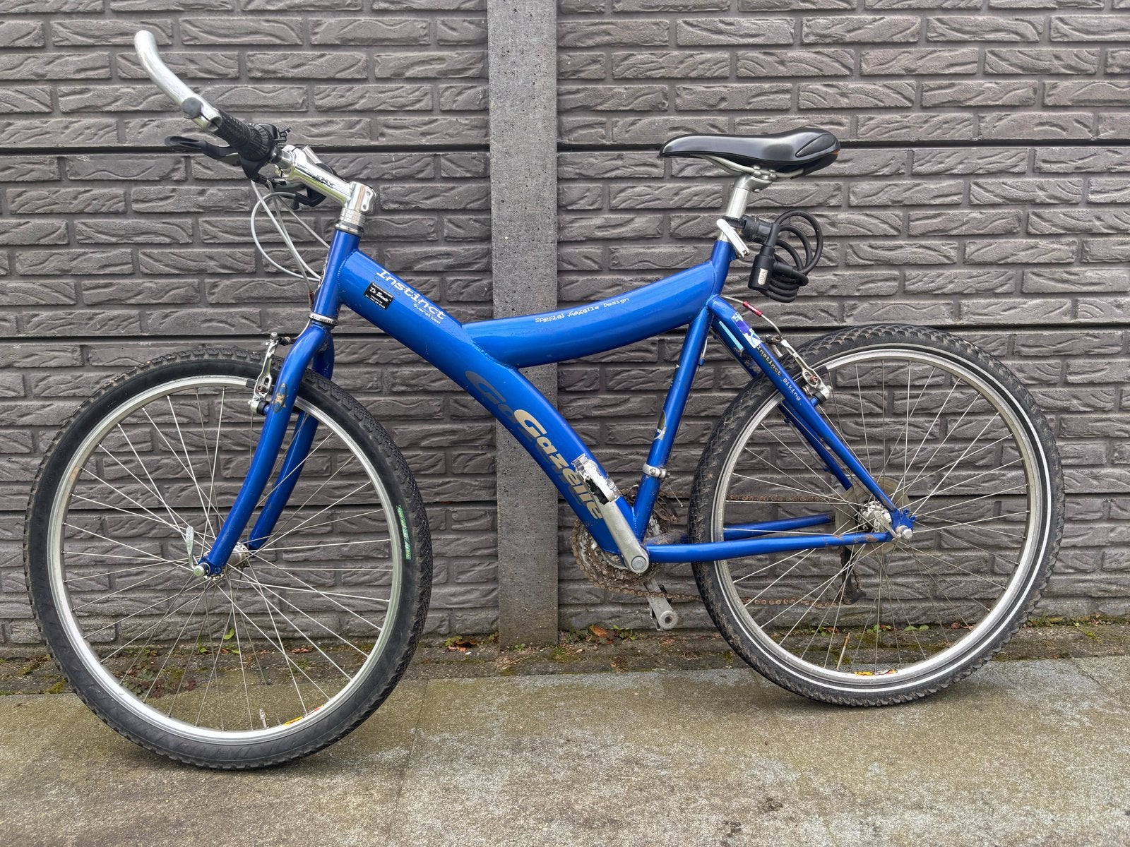 Mountainbike Gazelle Instinct, Fietsen en Brommers, Ophalen, Gebruikt, 49 tot 53 cm, Geen vering