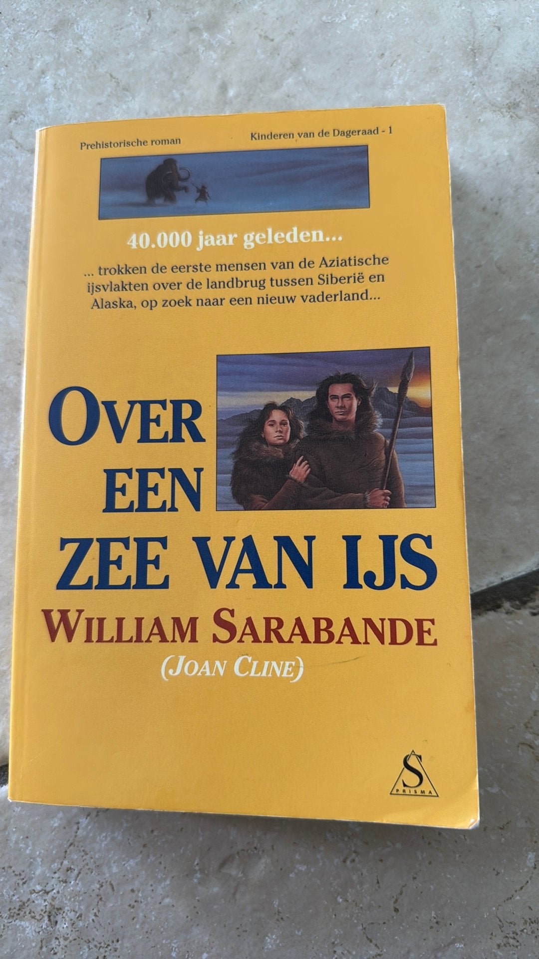 W. Sarabande - Over een zee van ijs, Boeken, Ophalen of Verzenden, Gelezen, W. Sarabande