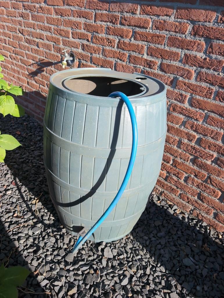 Gratis regenton - Ideaal voor het opvangen van regenwater, 150 liter of meer, Ophalen, Gebruikt, Kunststof