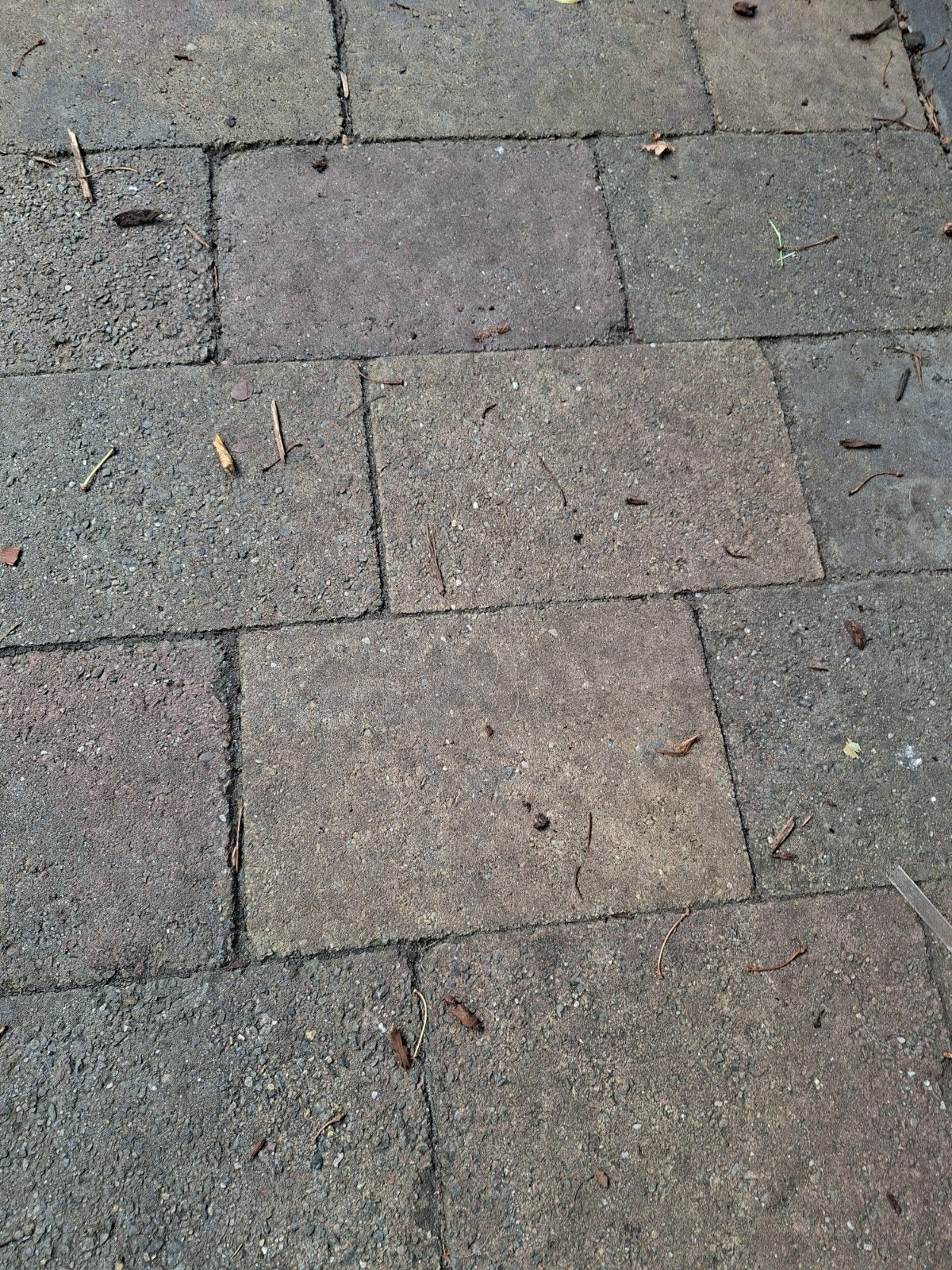 Ongeveer 14m2 gebruikte stenen, Ophalen of Verzenden