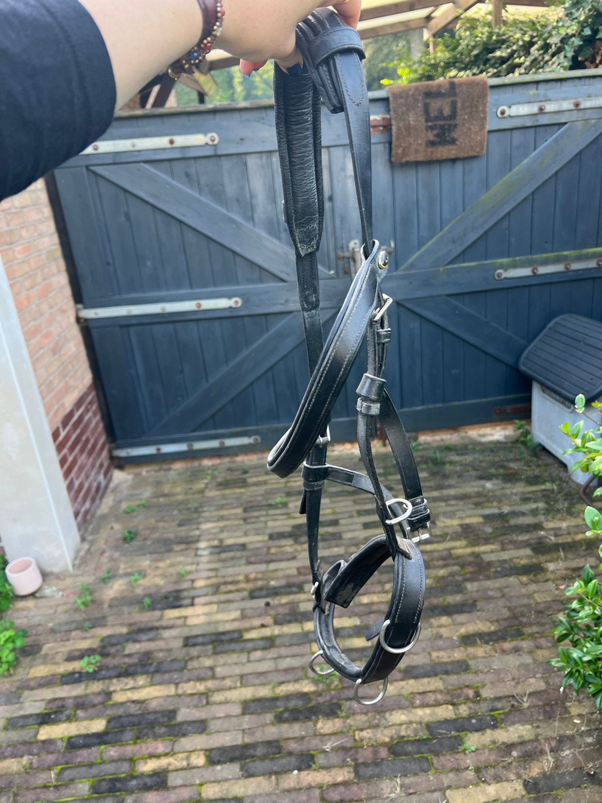 Leren bitloze hoofdstel Full, Ophalen of Verzenden, Zo goed als nieuw, Dressuur