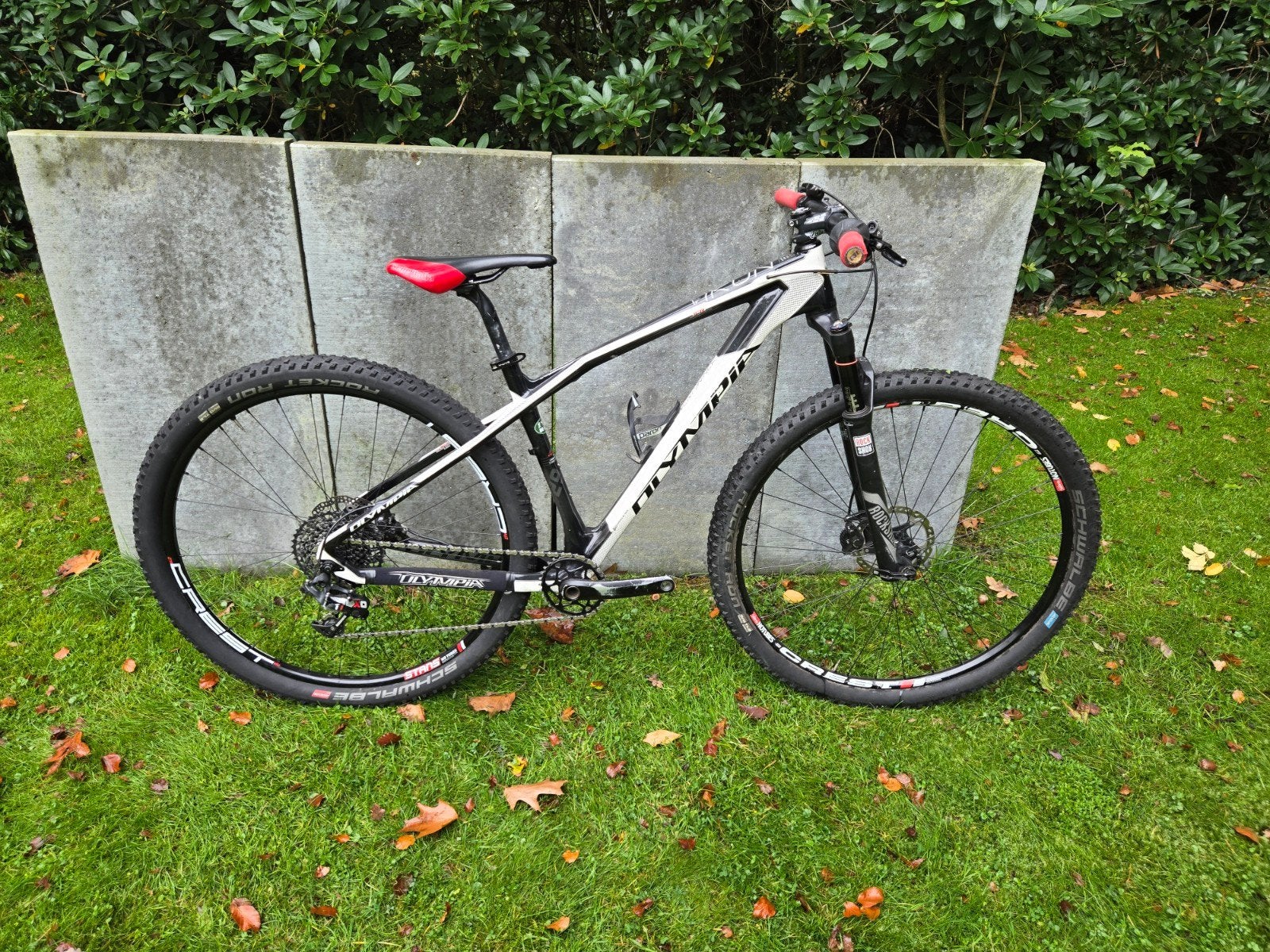 Mooie Olympia Iron 29 inch carbon MTB maat S, Fietsen en Brommers, Ophalen, Overige merken
