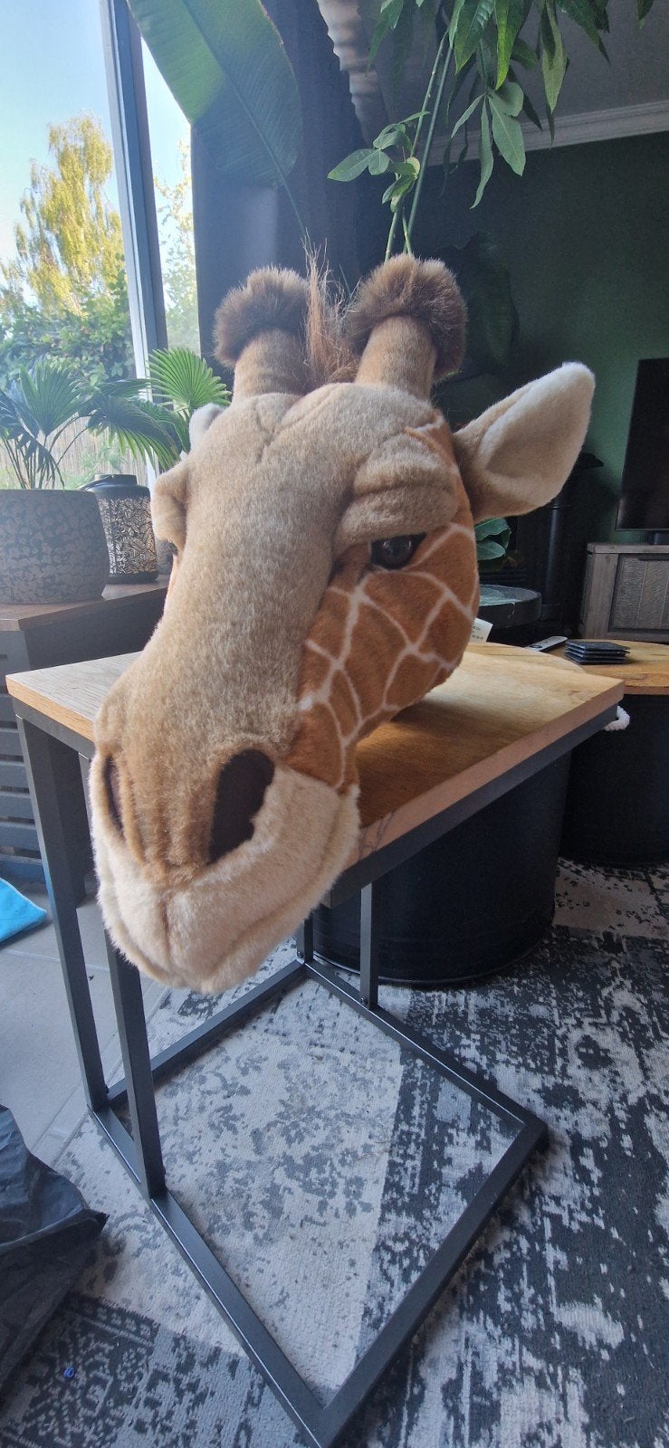 Dierenkoppen kinderkamer/deco, Ophalen