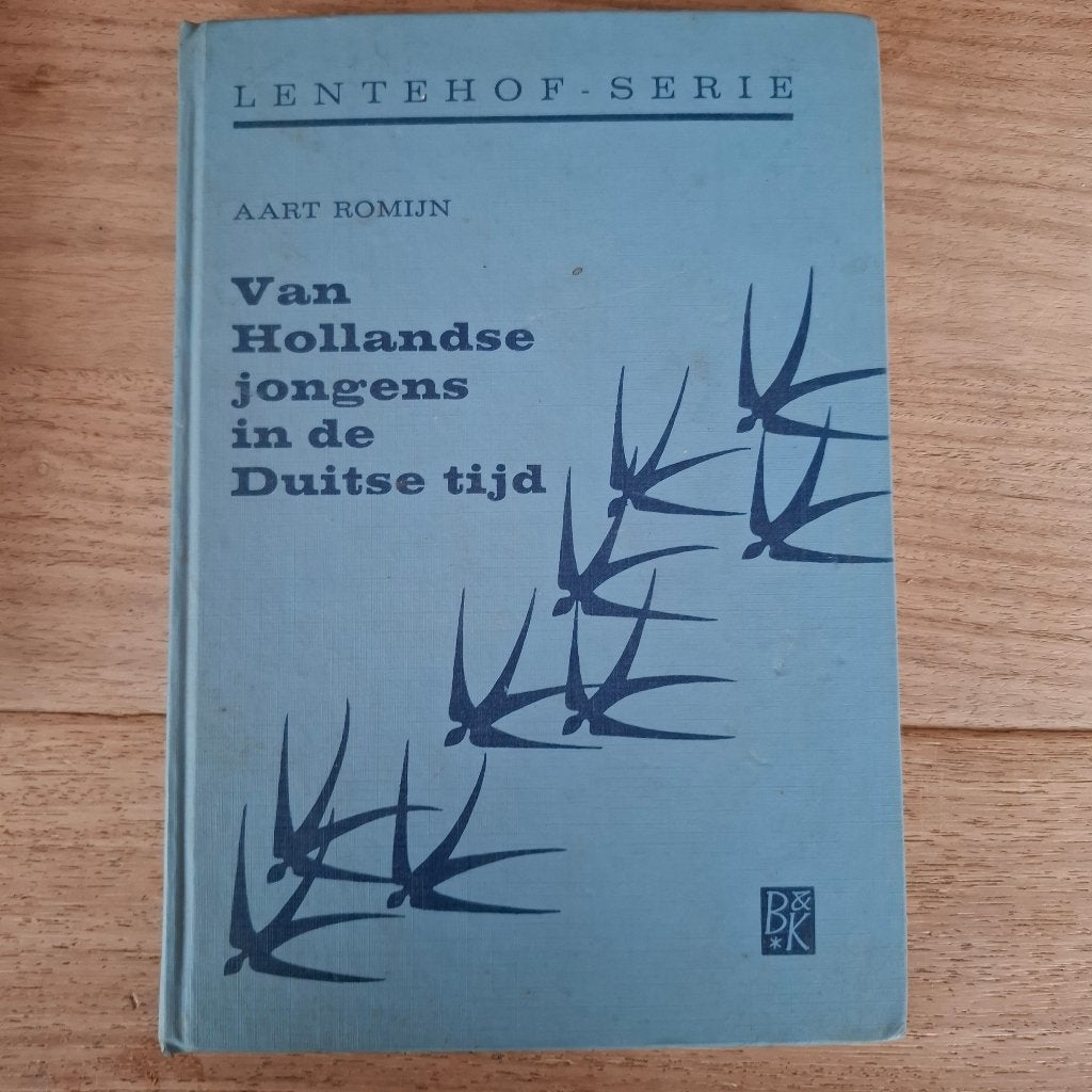 Van hollandse jongens in de duitse tijd aart romijn, Ophalen of Verzenden, Gelezen