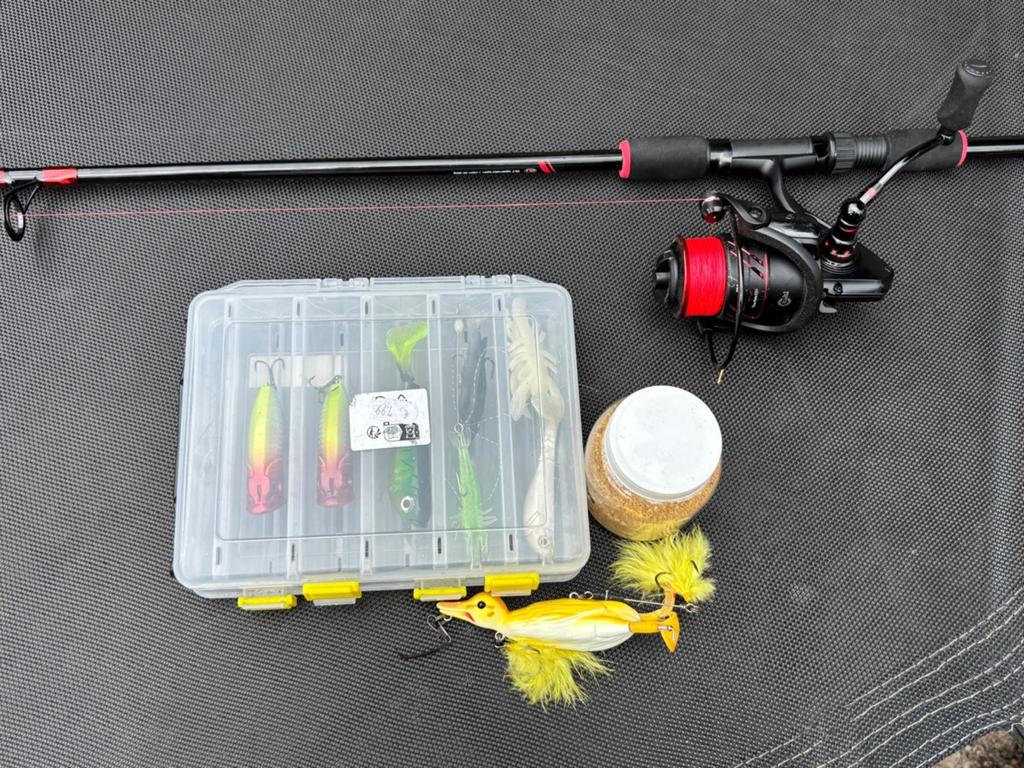 DLT spinninghengel 1.98m 10-30g met Urban Chic FD3000, Ophalen