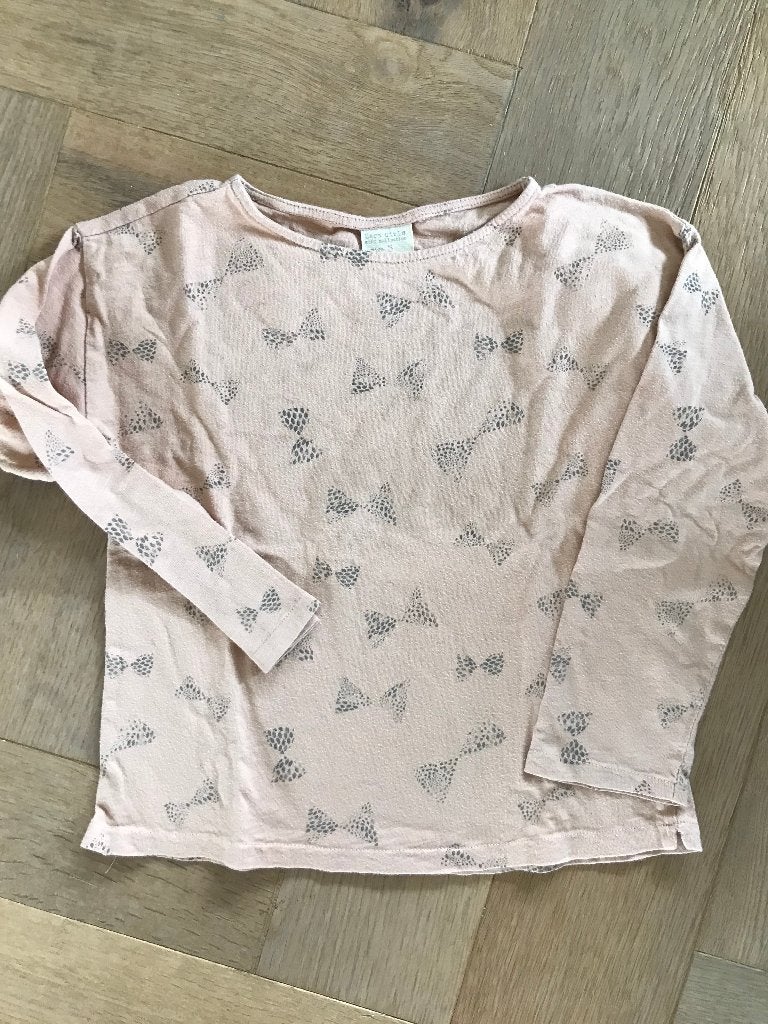 leuk shirtje van Zara maat 110, Kinderen en Baby's, Kinderkleding | Maat 110, Gebruikt, Meisje, Ophalen of Verzenden, Zara