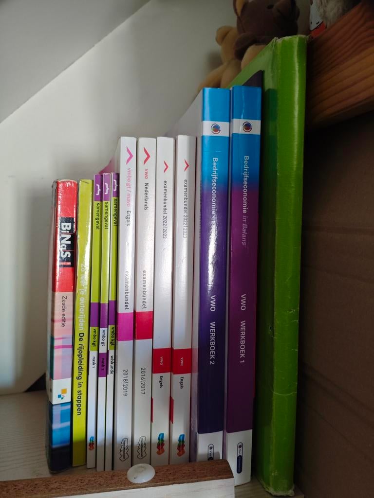 Diverse schoolboeken VWO/VMBO - Examenbundels & Werkboeken, Boeken, Ophalen of Verzenden, Alpha, Gelezen, Diverse auteurs