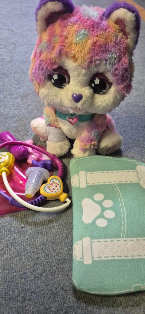 VTech Maxime mijn interactieve puppy, Ophalen