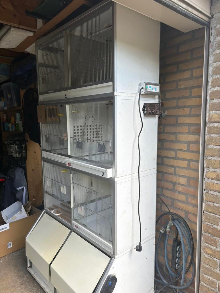 Kweekkoeien, Ophalen, Gebruikt