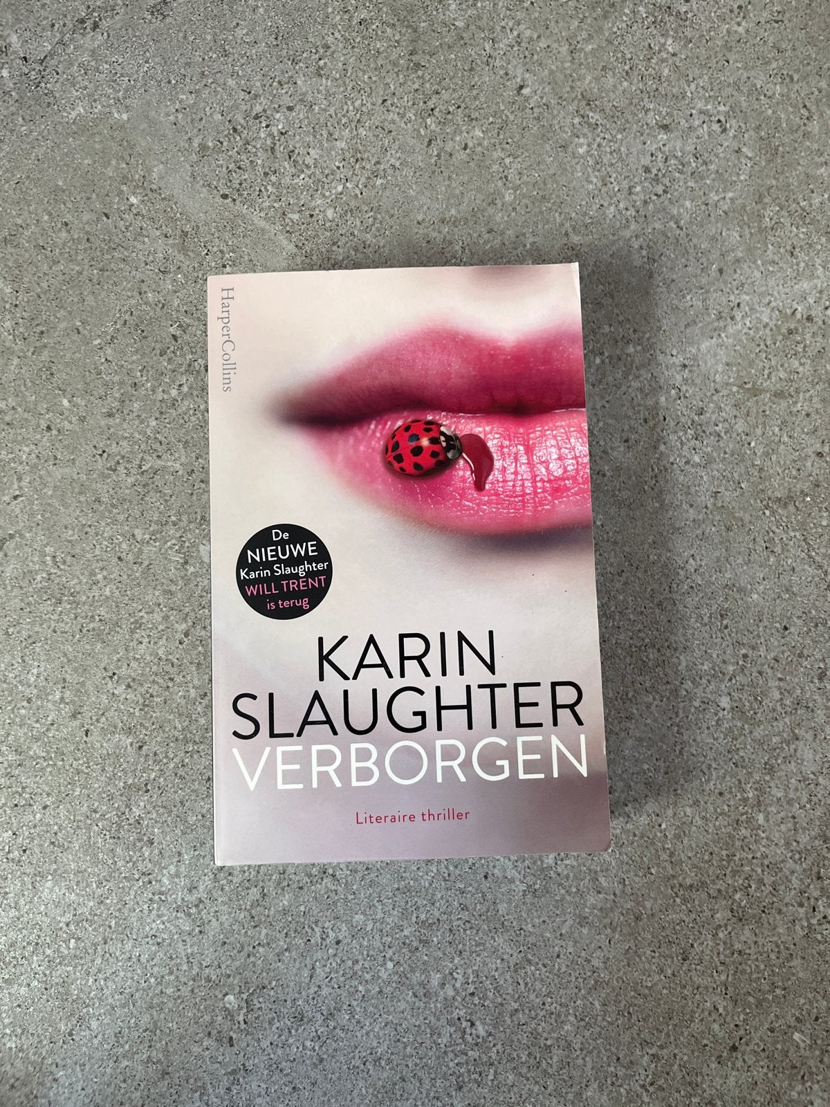 Karin Slaughter - Verborgen (Literaire thriller), Ophalen of Verzenden, Gelezen, Nederland