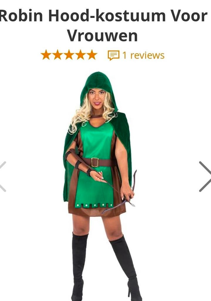 Robin Hood kostuum voor dames - Maat M, Ophalen of Verzenden, Zo goed als nieuw, Carnaval