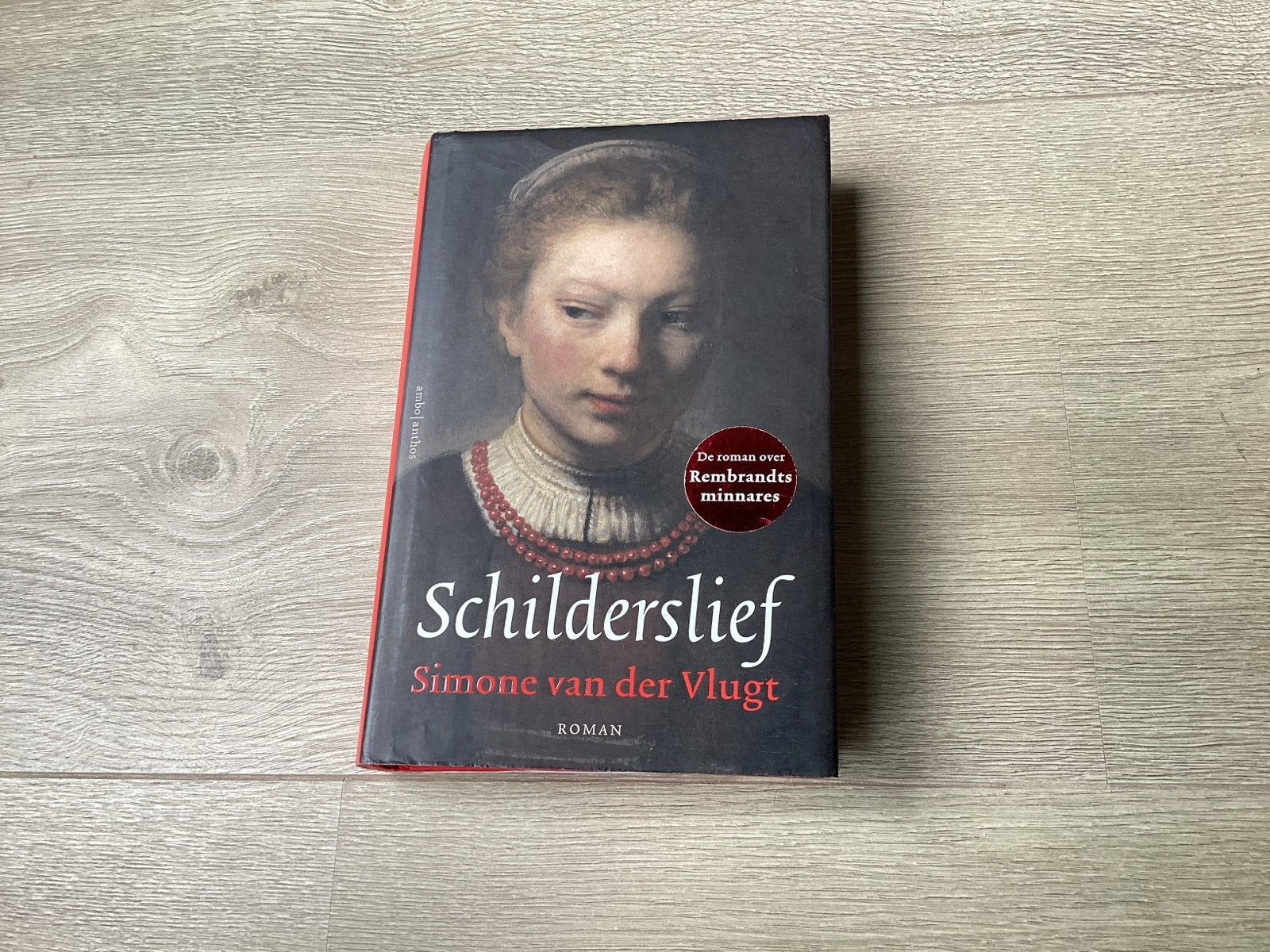 Schilderslief - Simone van der Vlugt (Roman), Ophalen of Verzenden, Gelezen, Nederland