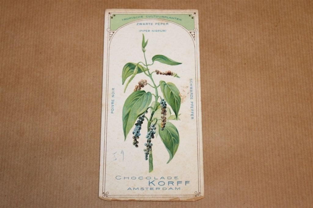 Boekenlegger - F. Korff Cacao Amsterdam - Ca 1920, Verzamelen, Ophalen of Verzenden, Zo goed als nieuw, Reclame