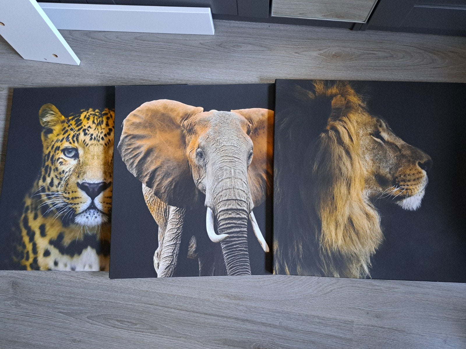 Drieluik canvas dieren, Ophalen, Zo goed als nieuw, Overige typen