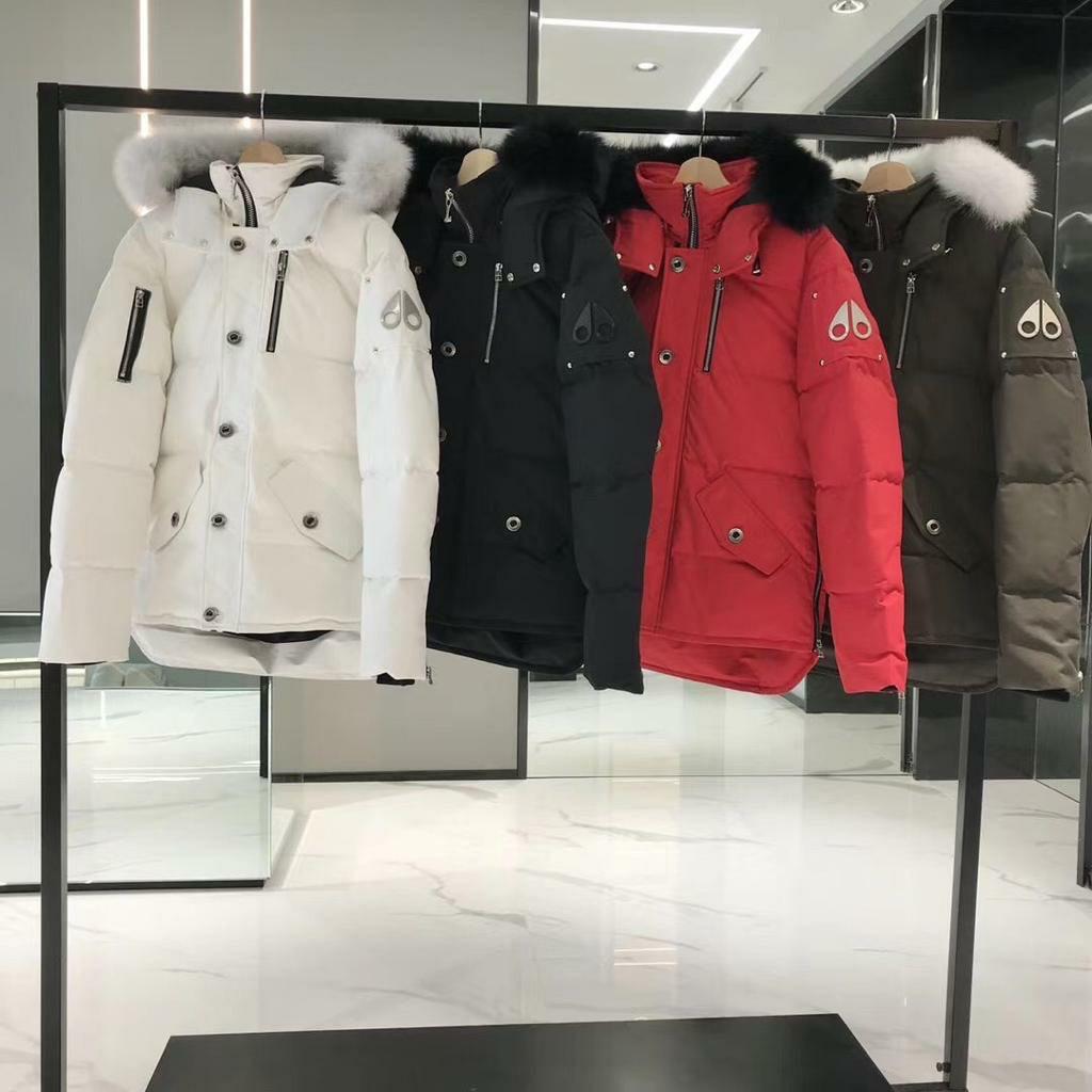 Moose Knuckles winterjassen, Kleding | Heren, Jassen | Winter, Ophalen of Verzenden, Nieuw, Overige maten, Overige kleuren