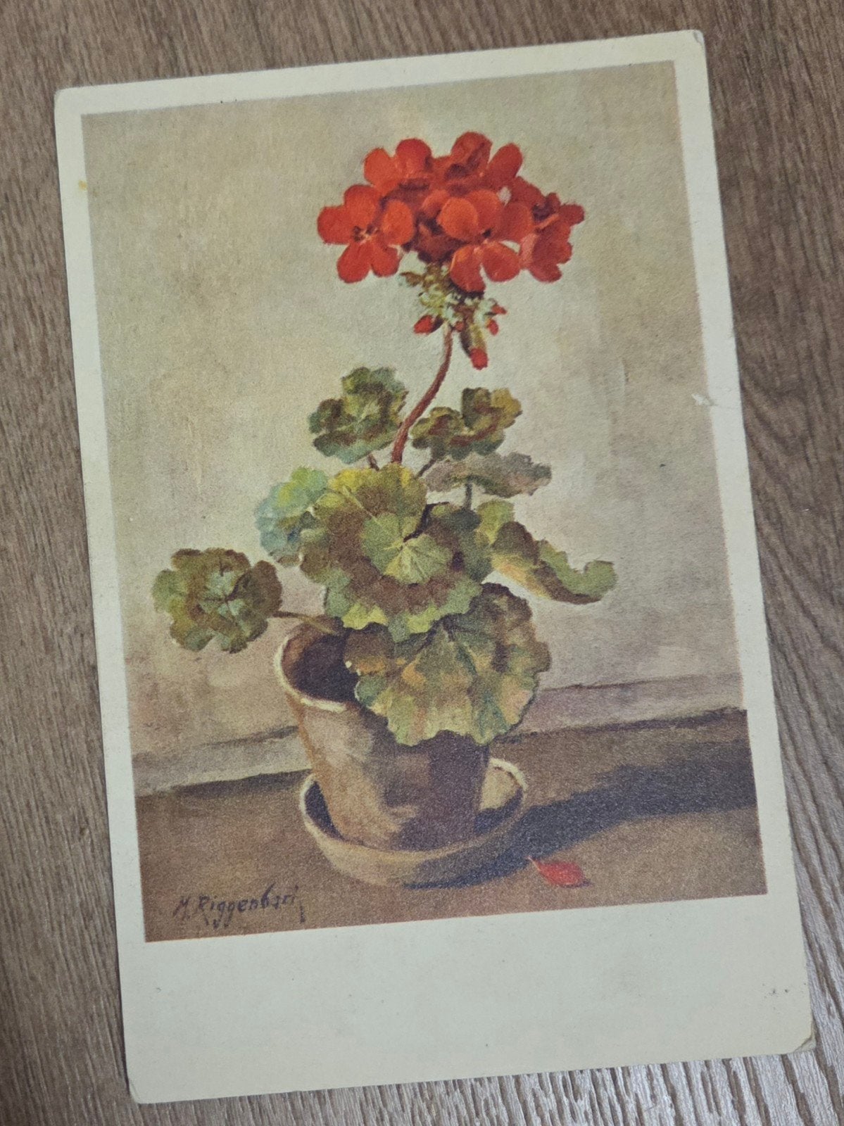 Oude ansichtkaart met bloemenmotief - Geraniums, Verzenden, 1920 tot 1940, Ongelopen, Overige thema's