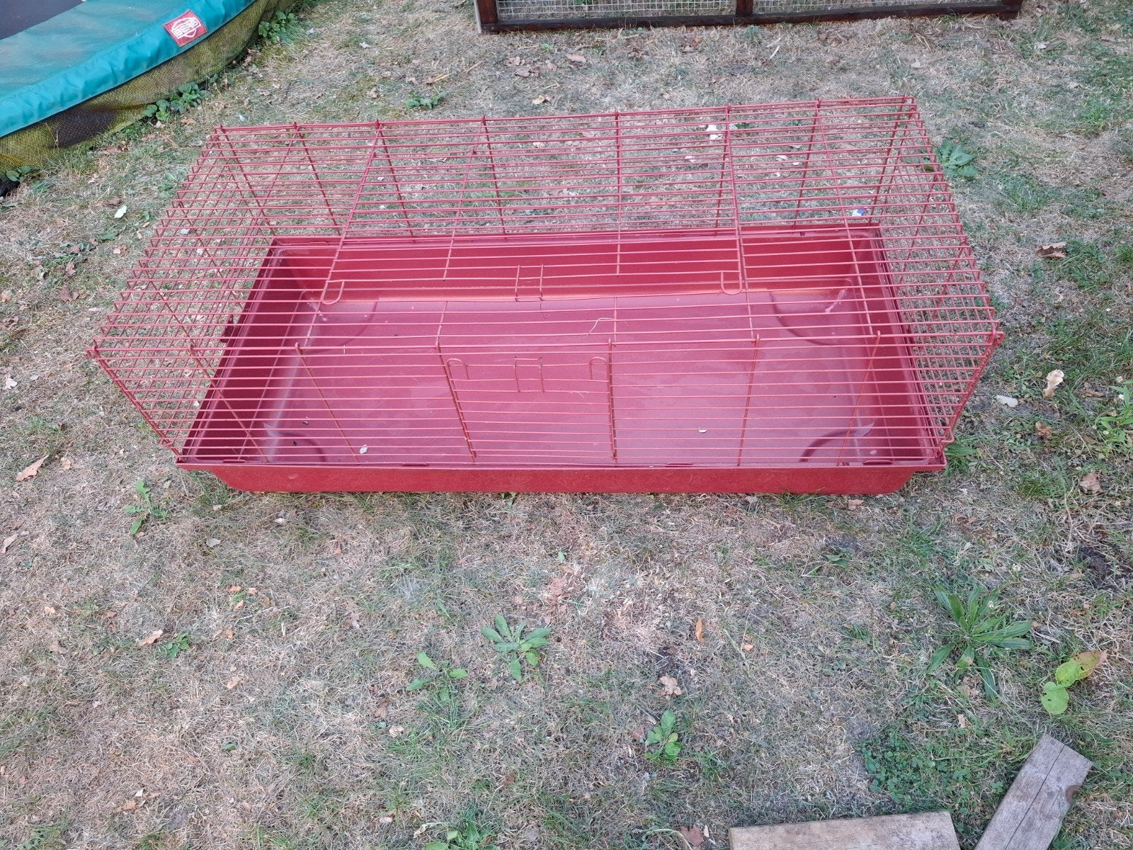 Konijnenhok: binnenhok voor konijnen of cavia's, Dieren en Toebehoren, Knaagdieren en Konijnen | Hokken en Kooien, 110 cm of meer