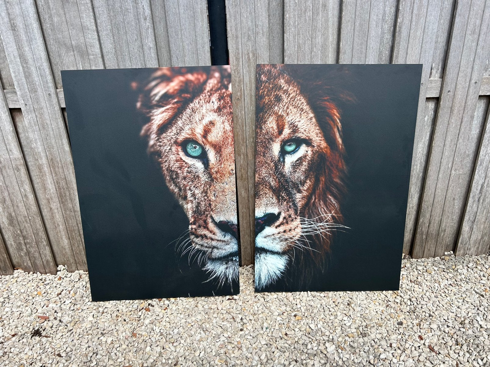 Aluminium leeuwen tweeluik, Huis en Inrichting, Ophalen, Gebruikt, Minder dan 50 cm, Schilderij