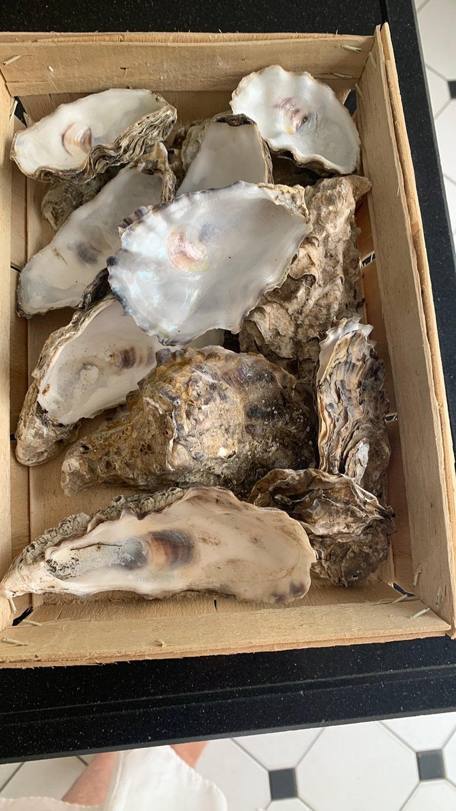 schone oester schelpen vijftien stuks vaste prijs, Ophalen of Verzenden, Knutselmateriaal