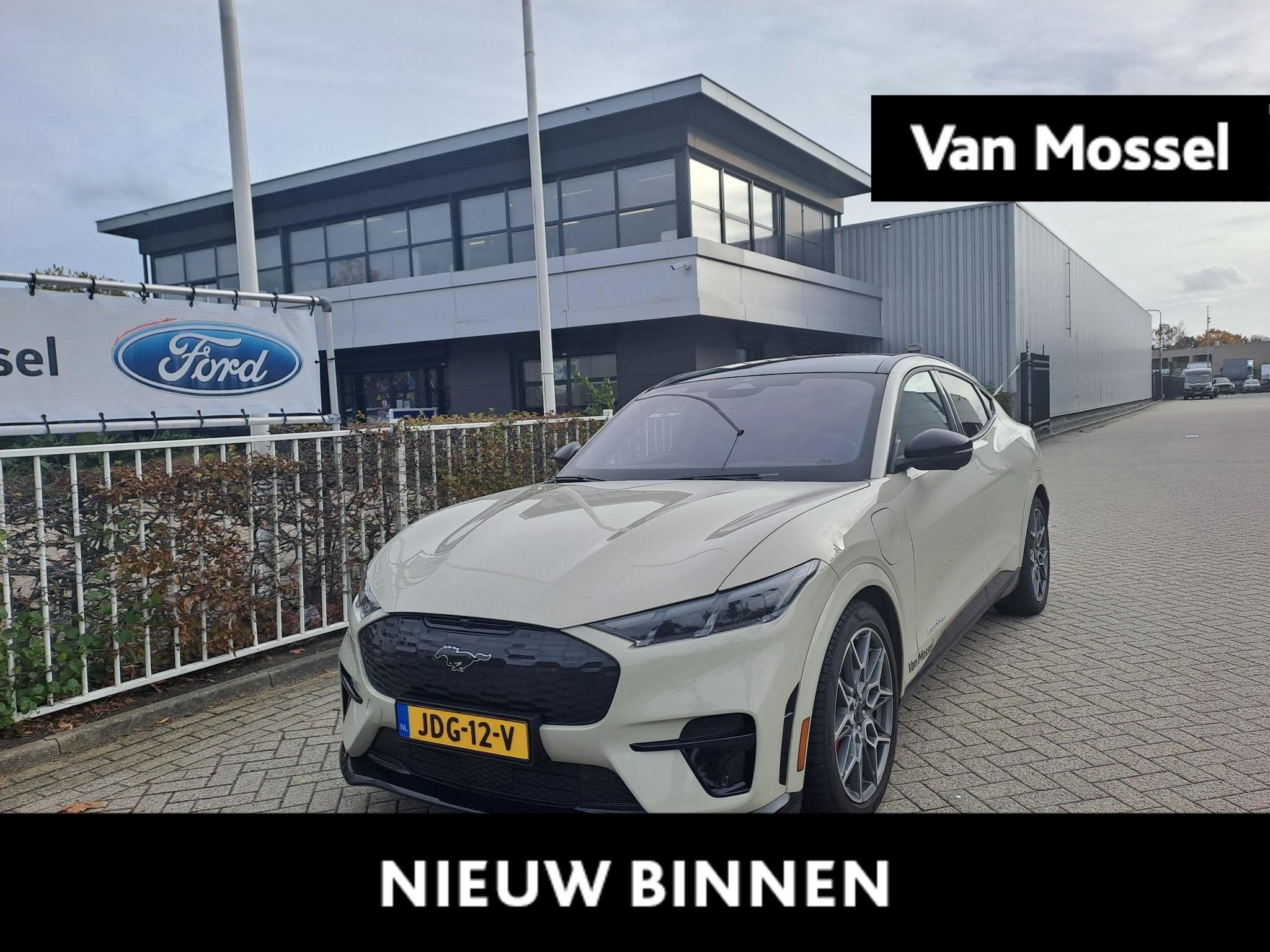 Ford Mustang Mach-E GT Extended AWD 91 kWh | Stuurverwarming, Auto's, 12 maanden, Gebruikt, 750 kg, Alcantara