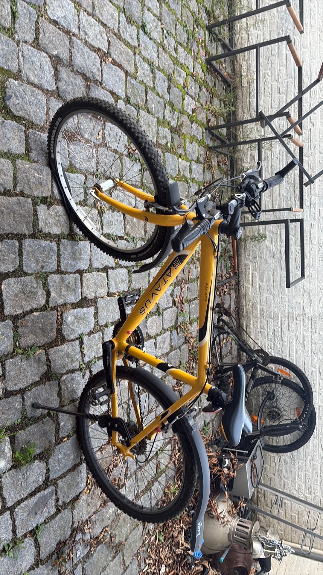 Batavus am 300, Ophalen, Zo goed als nieuw, Staal, 24 inch of meer