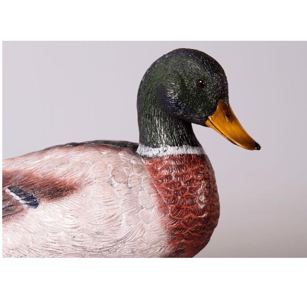 Mallard Woerd beeld – Eend Lengte 49 cm, Ophalen, Nieuw, Overige soorten, Overige typen