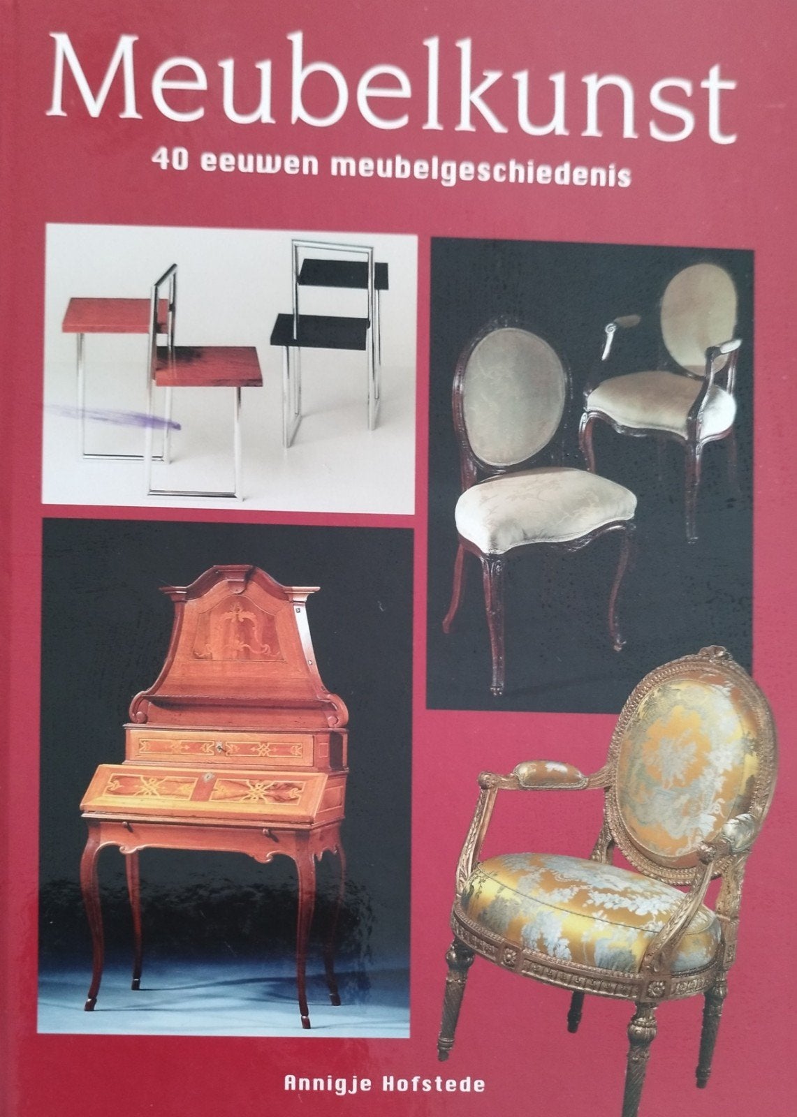 Meubelkunst: 40 eeuwen meubelgeschiedenis - Annigje Hofstede, Boeken, Ophalen of Verzenden, Nieuw, Overige onderwerpen, Annigje Hofstede