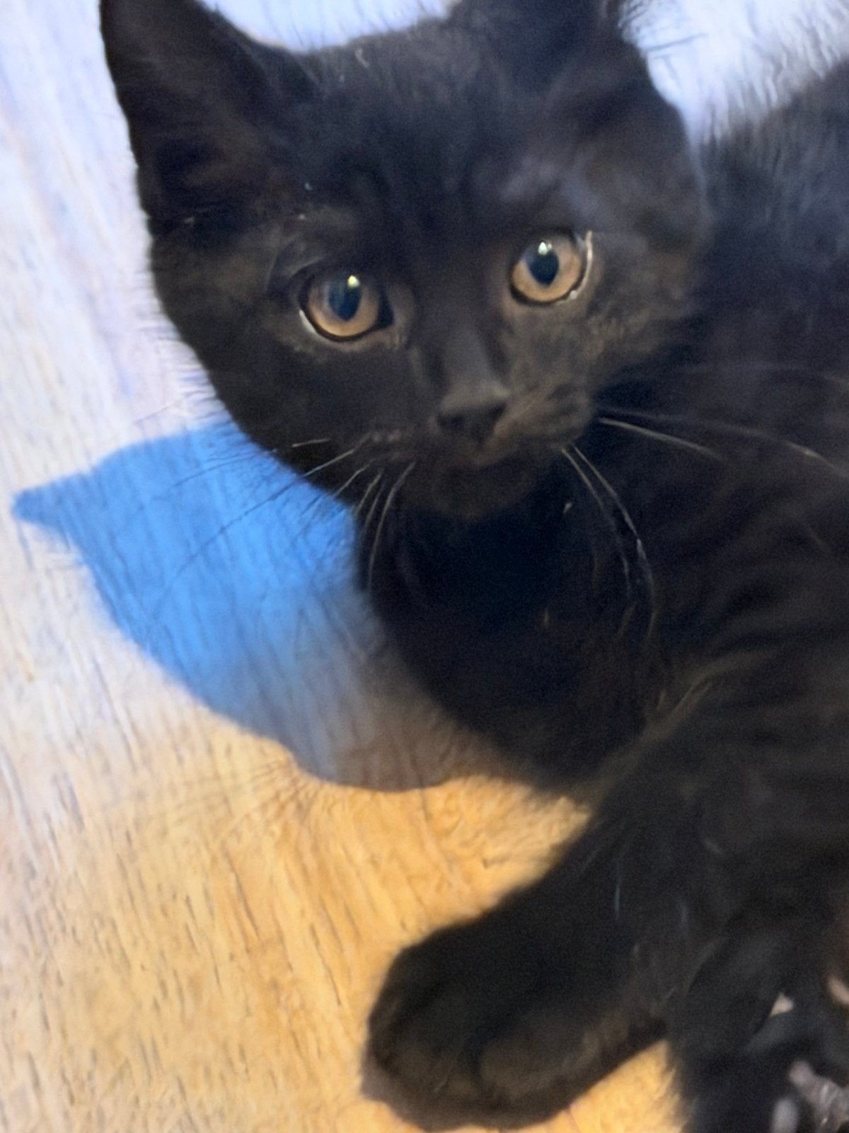 €150, Poes