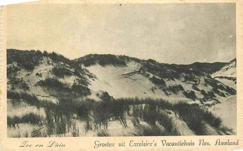 377-673-011 Ameland, Verzenden, Voor 1920, Friesland