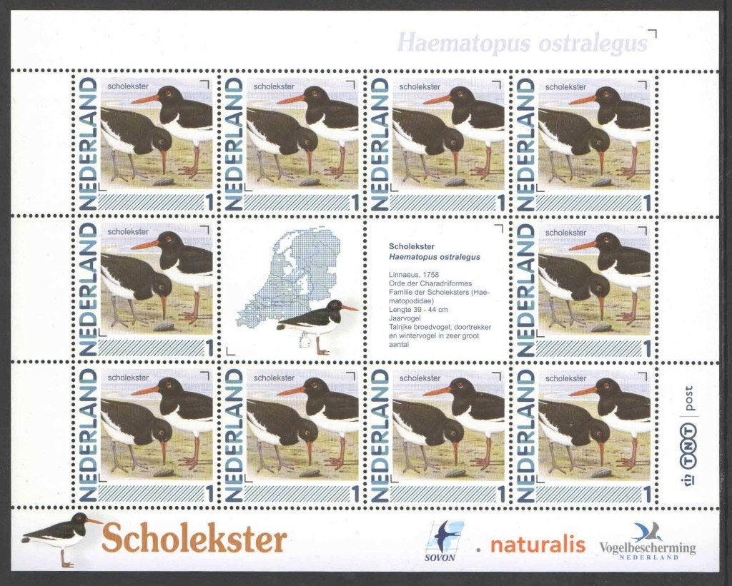 Postzegels Vogels in Nederland: Scholekster, Ophalen of Verzenden, Na 1940, Postfris