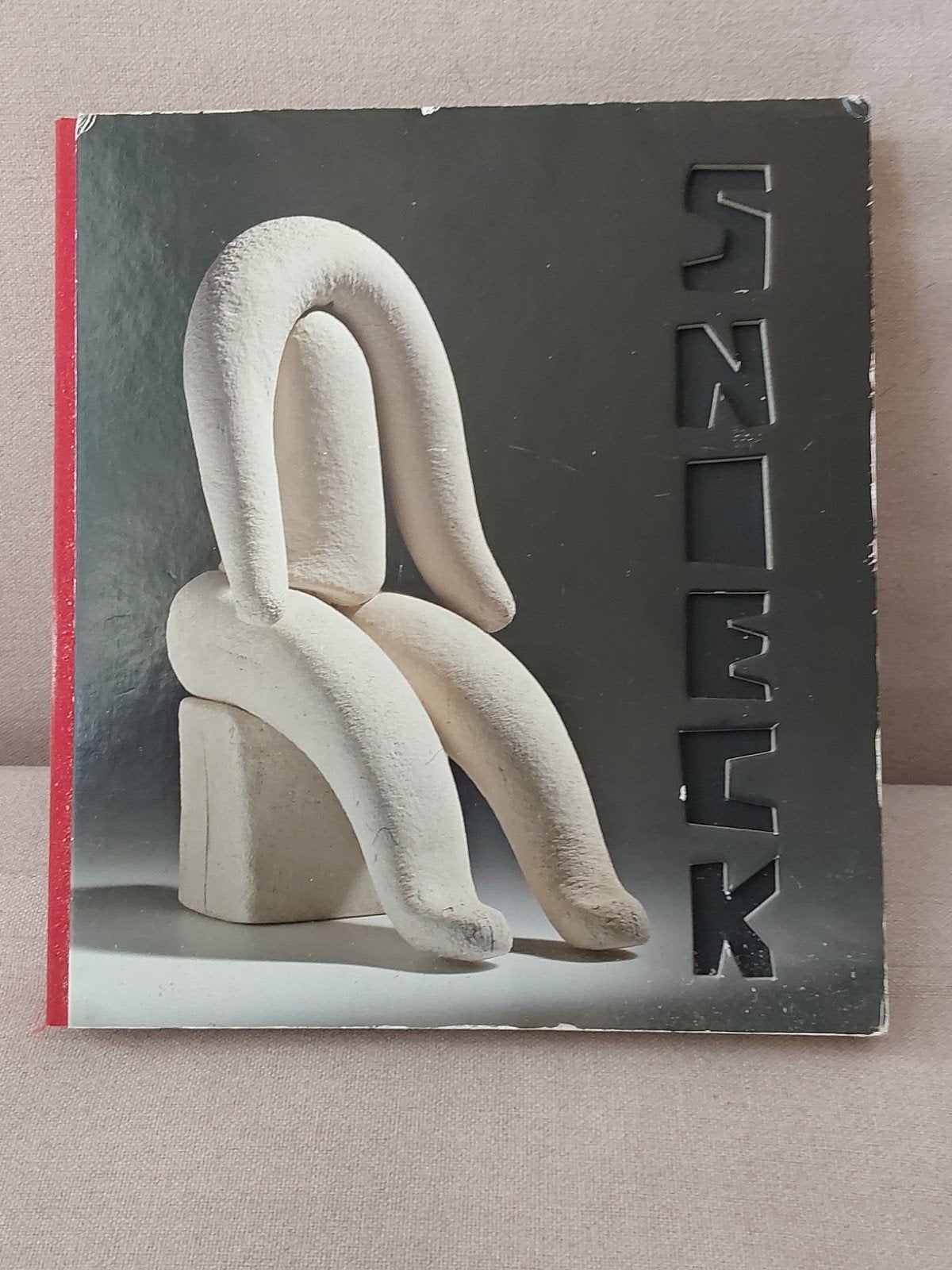 JAN SNOECK 175 BLZ WAANDERS BOEK MET POP UP HAAGSE PULCHRI, Ophalen of Verzenden, Zo goed als nieuw