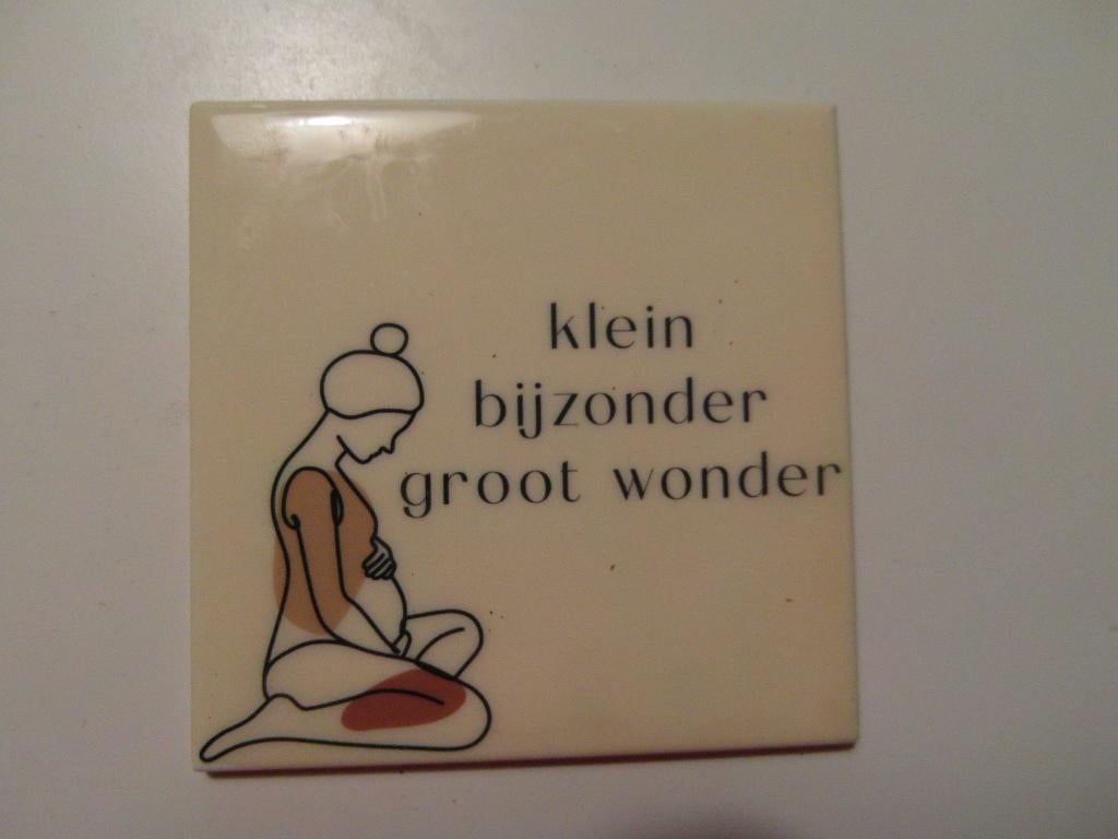 Tegeltje , klein bijzonder groot wonder 11 x, Ophalen of Verzenden, Nieuw