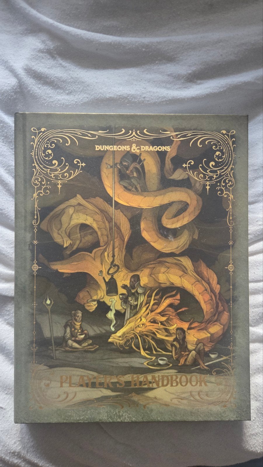 D&D 2024 ALT COVER Player's Handbook (5e 2024), Ophalen of Verzenden, Zo goed als nieuw, Wizards of the Coast