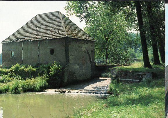 (BG086) Ansichtkrt België molen Hoogstraten watermolen 1999, Ophalen of Verzenden, 1980 tot heden, Ongelopen, Antwerpen