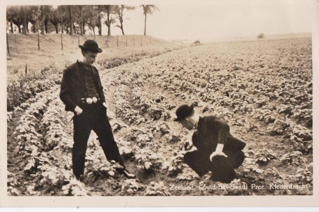zeeuws  jonge boeren  prot klederdracht  1949, Ophalen of Verzenden, Voor 1920, Noord-Brabant