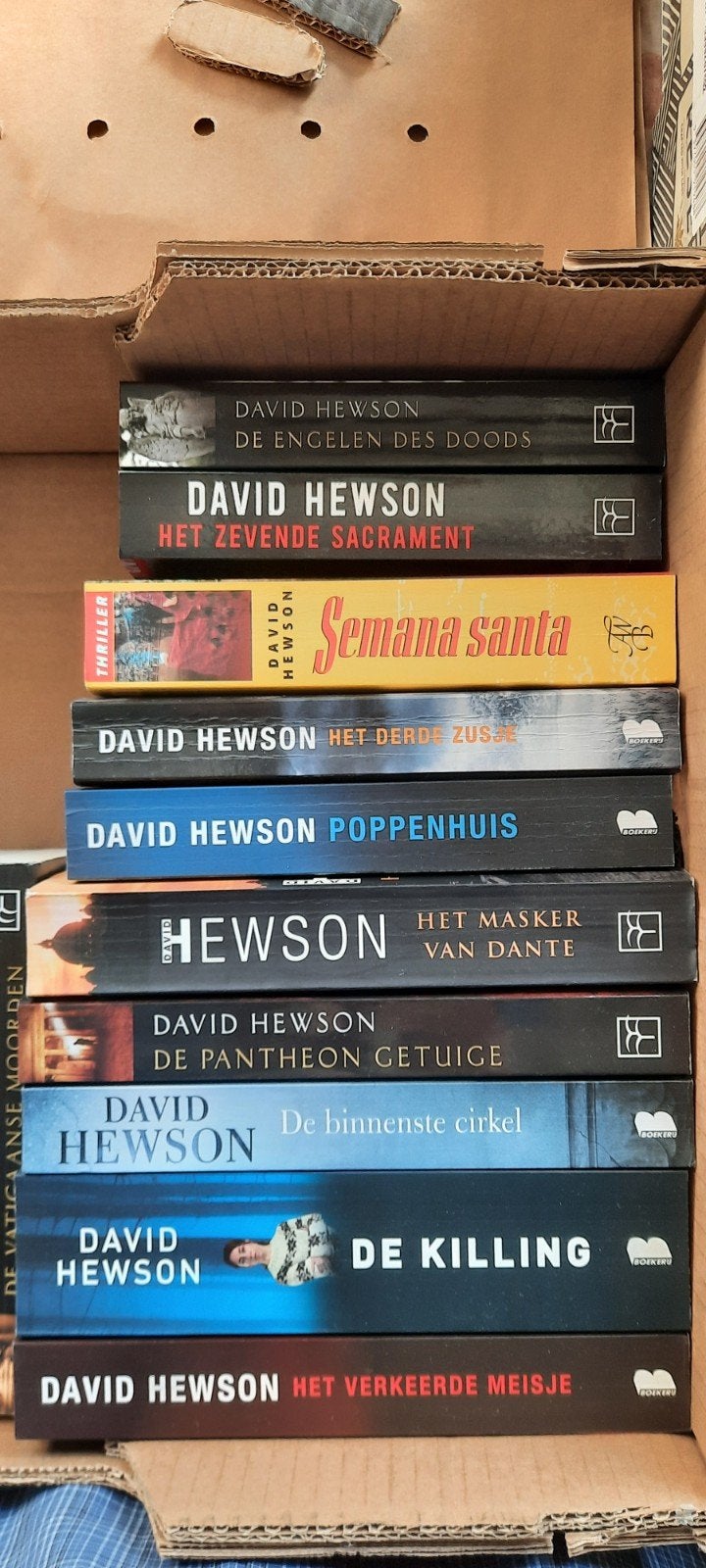 David Hewson Boekenpakket - 12 Thrillers, Boeken, Ophalen of Verzenden, Gelezen, David Hewson, Europa overig