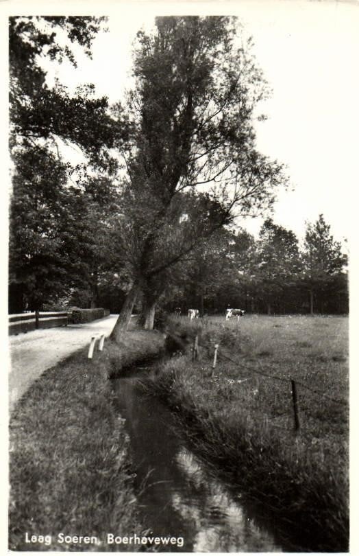 Laag Soeren, Boerhaveweg - gelopen 196?, Verzamelen, Ansichtkaarten | Nederland, Ophalen of Verzenden, 1960 tot 1980, Gelopen