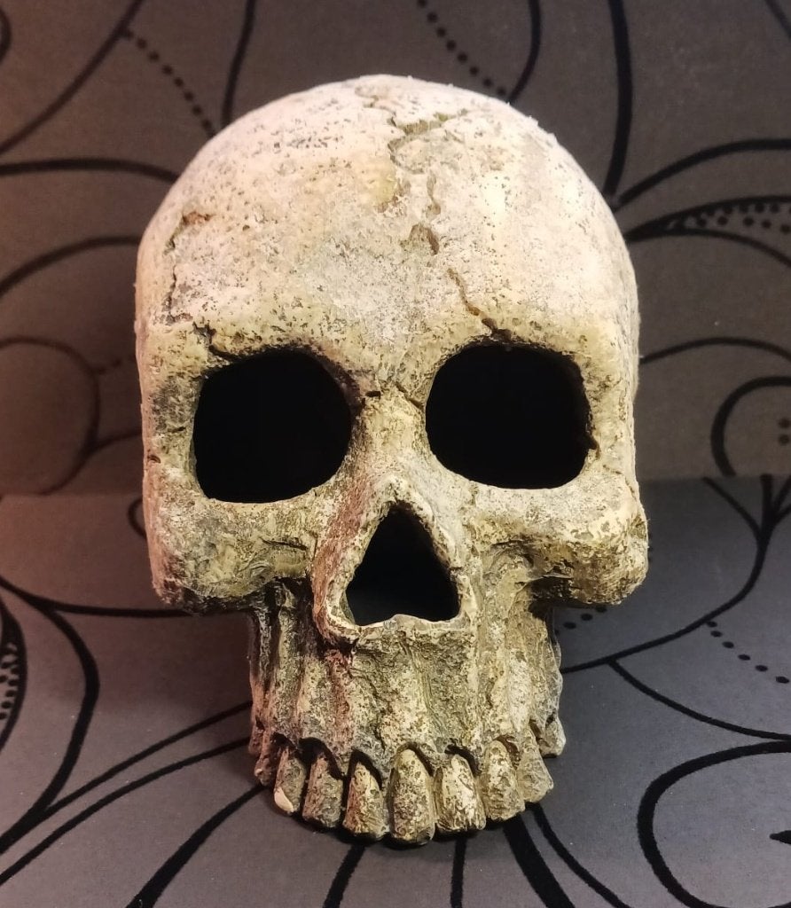Skull Schedel - Kasteel - Schildpad voor aquarium, Ophalen of Verzenden, Zo goed als nieuw