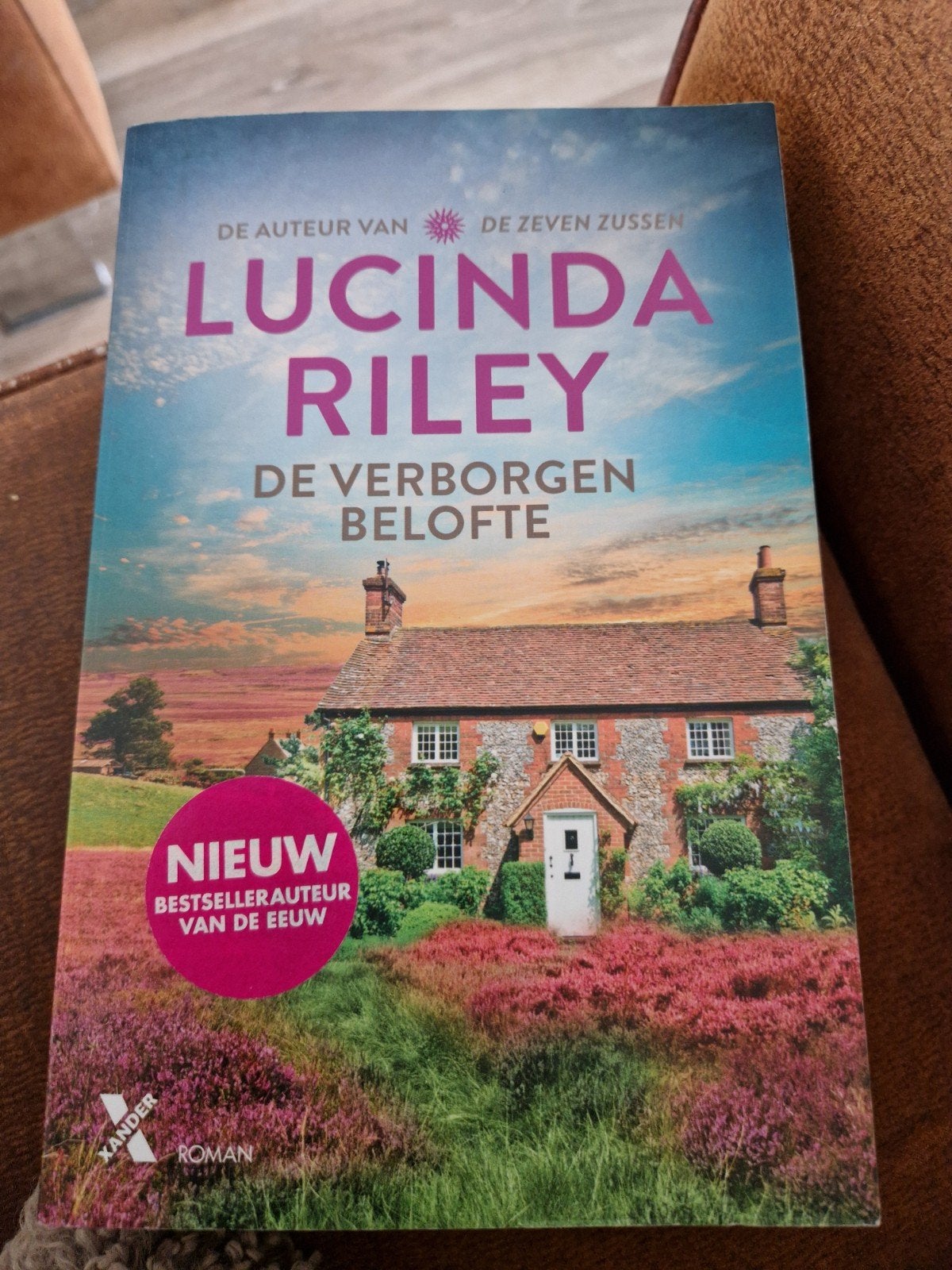 Lucinda Riley - De Verborgen Belofte (Roman), Ophalen, Nieuw, Lucinda Riley, Nederland