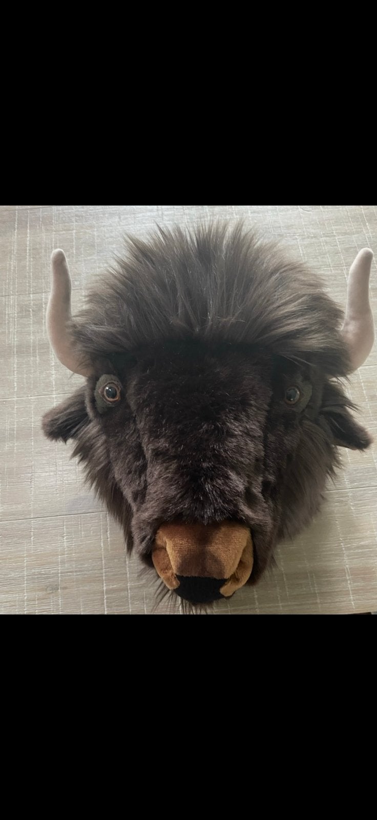 Buffel dierenkop vopr aan de wand, Ophalen of Verzenden, Zo goed als nieuw, Overige kleuren, Rond